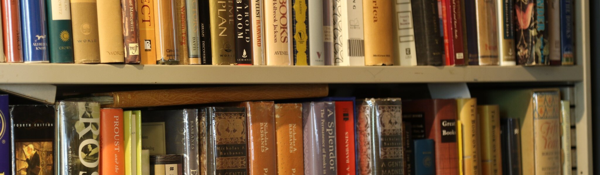 Wands Books Bookshop