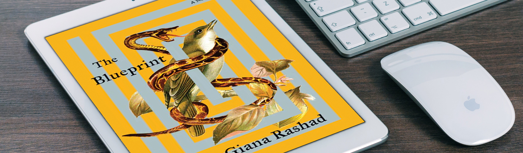 Book Rao Rasheed Rae Giana Rashad Bookshop