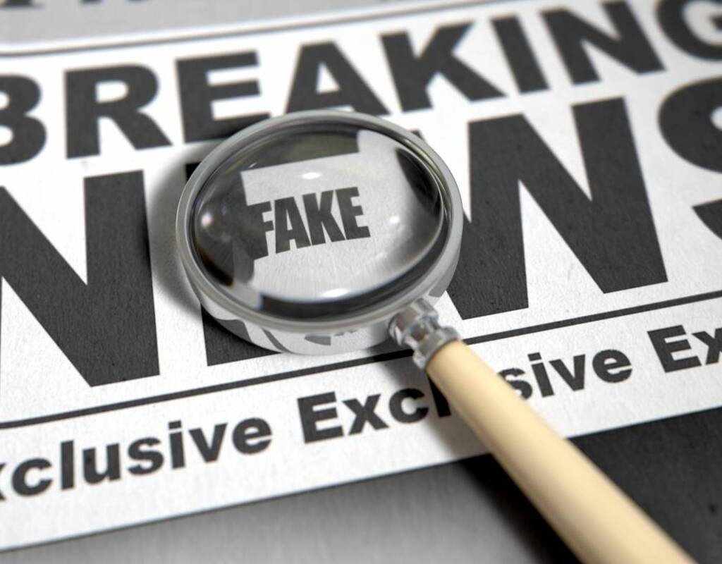 Fake News and Misinformation - Bookshop.org